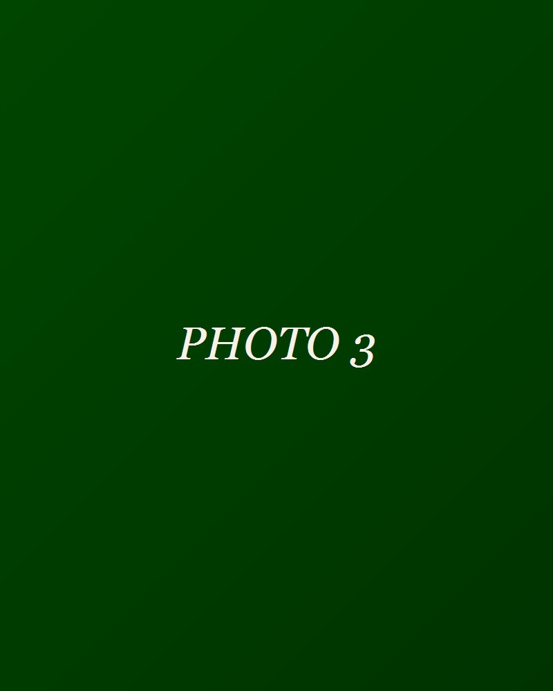 pre-wedding